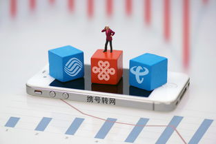 上海市民可到三家營業廳辦理攜號轉網，附轉網最詳攻略及基礎電信業務解析